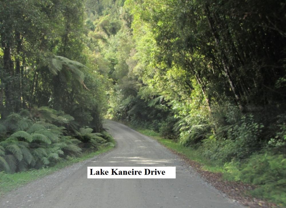 Lake Kaniere Drive